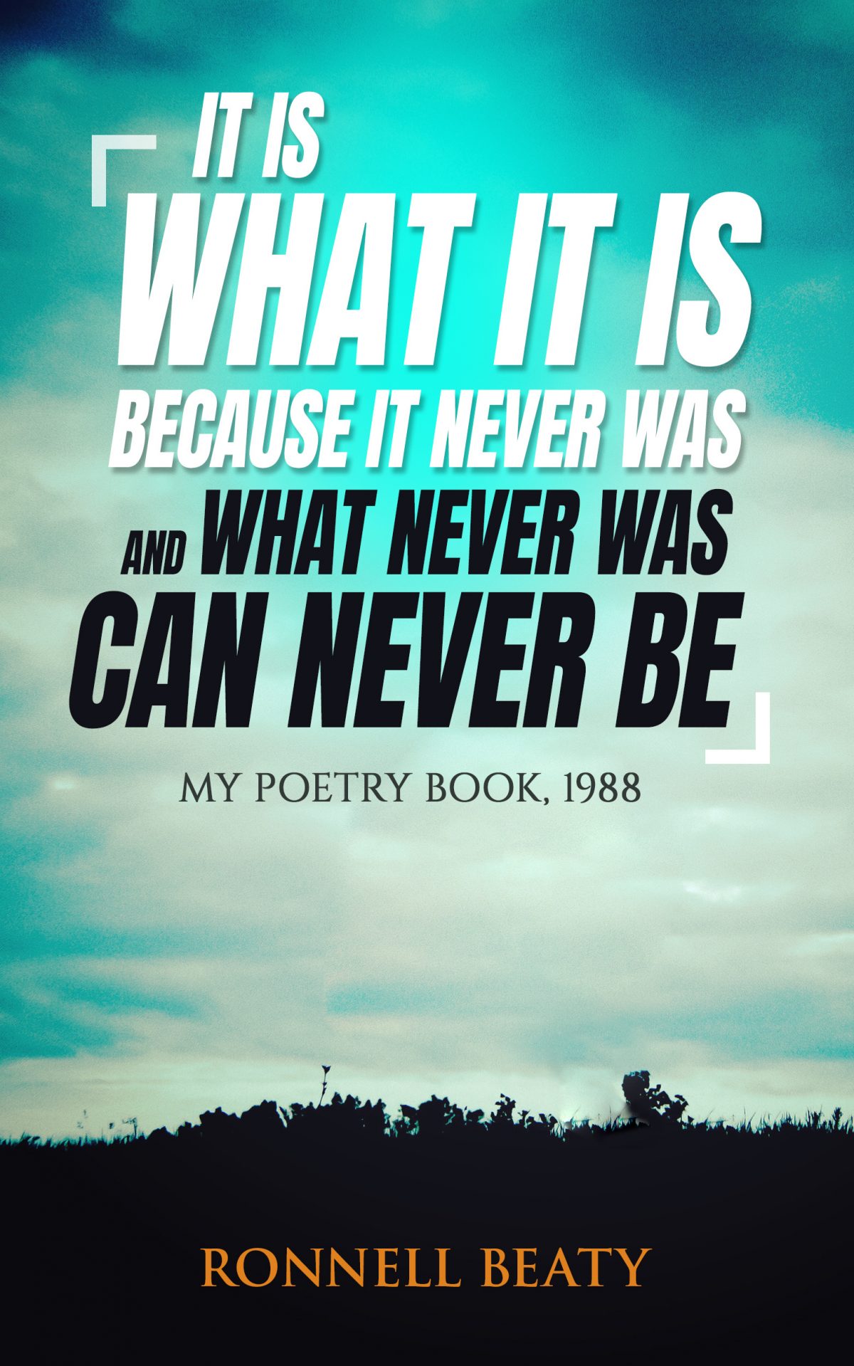 What Never Was, Can Never Be: Poetry